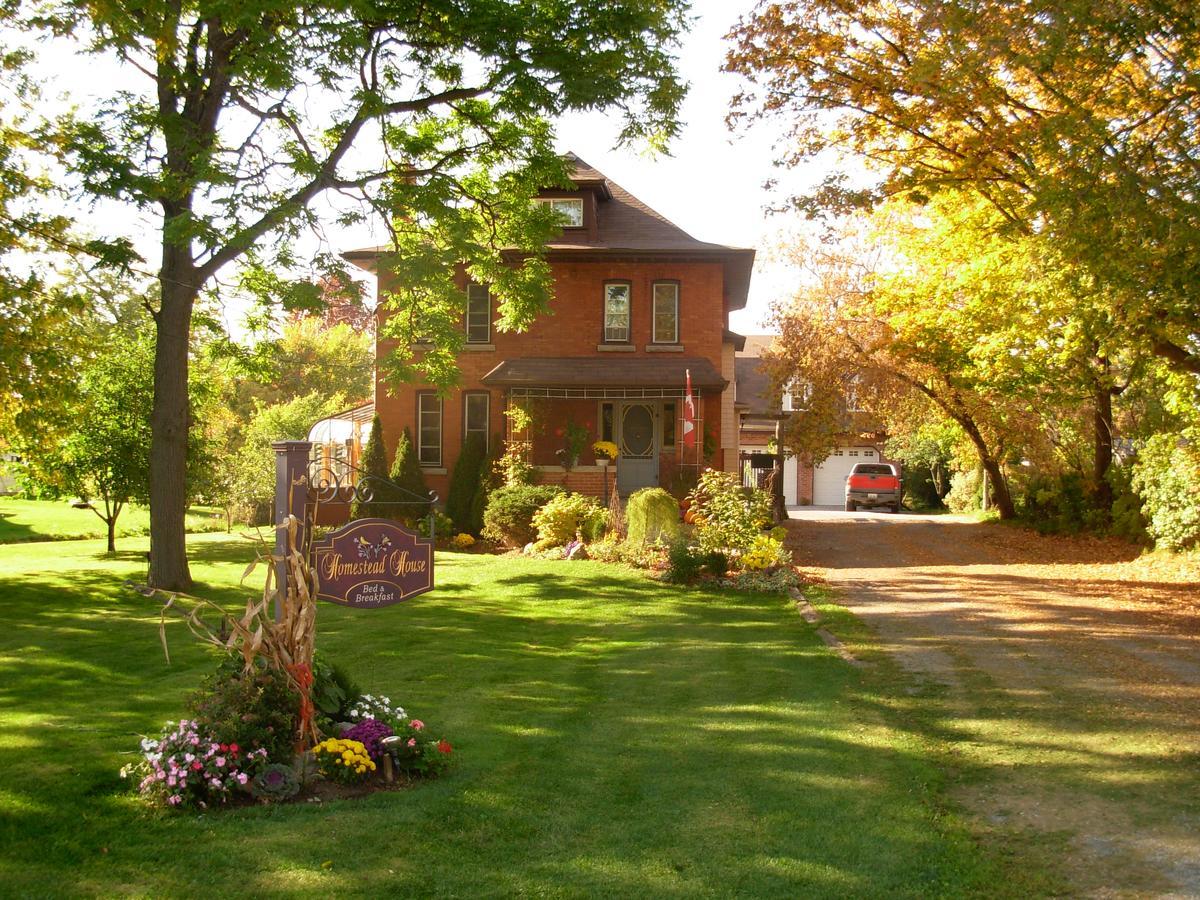 Homestead House B&B ฮามิลตัน ภายนอก รูปภาพ